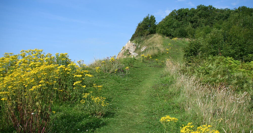 Branscombe to Beer Coastal Walk: Cliff pathway